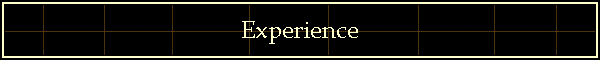 Experience