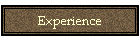 Experience