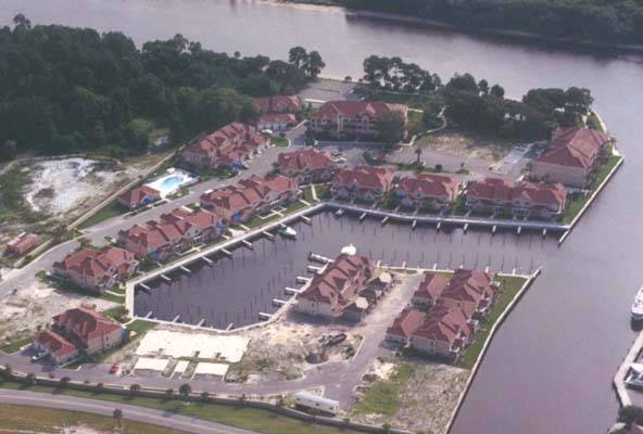 MrnaCv2.JPG (40560 bytes)